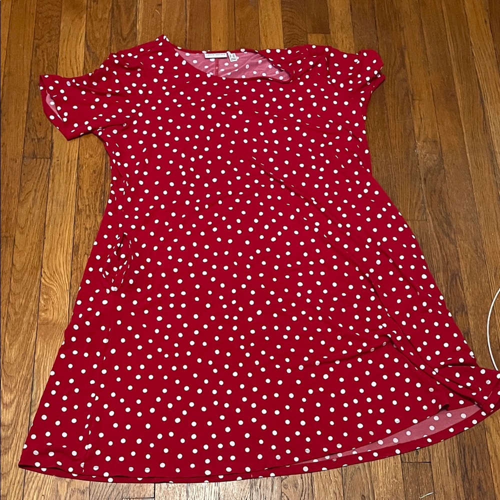 Susan Graver Polka Dot Dress Size 2X